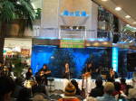 tCui2005/11j