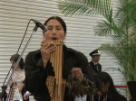 Ó색Cui2005/11)